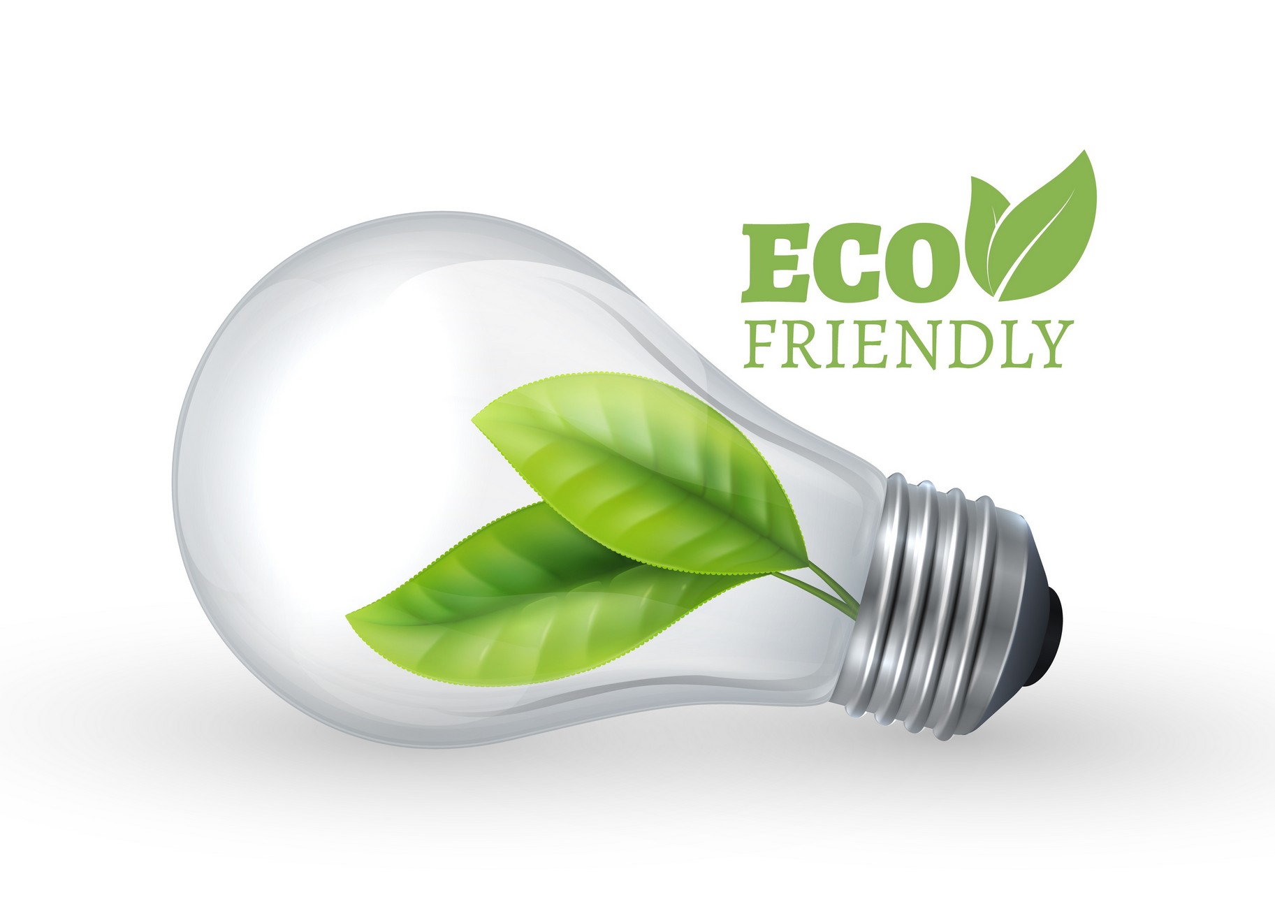 Tallahassee Green Break Room | Eco-Friendly Products | Energy Savings